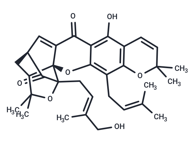 Isomorellinol