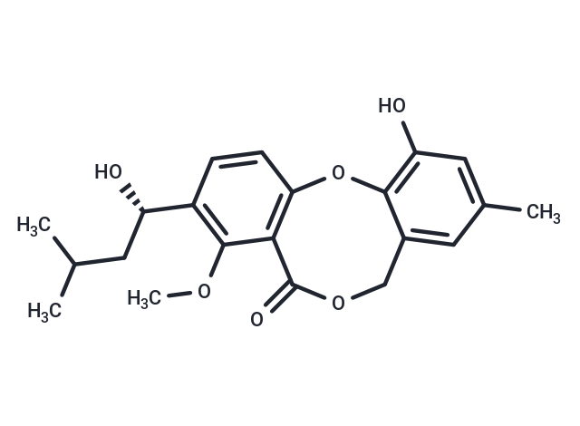 Penicillide