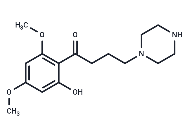 Y13g