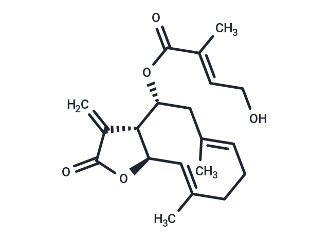 8beta-(4'-Hydroxytigloyloxy)costunolide