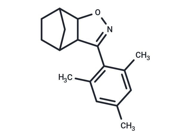 SN 2