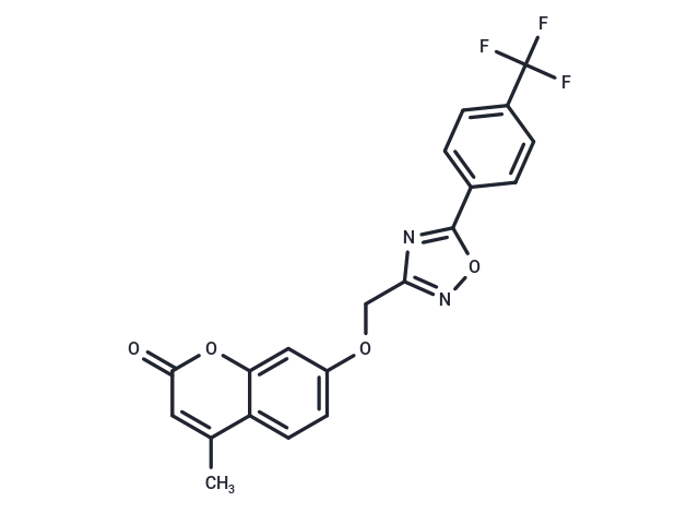 hCAIX/XII-IN-3