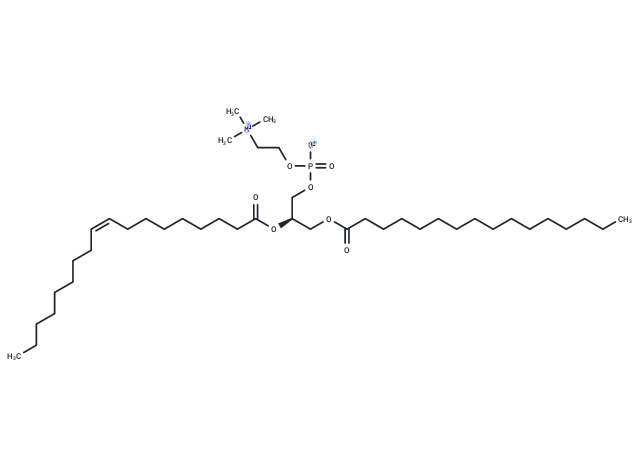 1-Palmitoyl-2-oleoyl-sn-glycero-3-PC