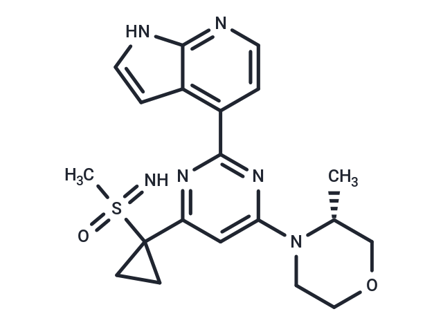 Ceralasertib