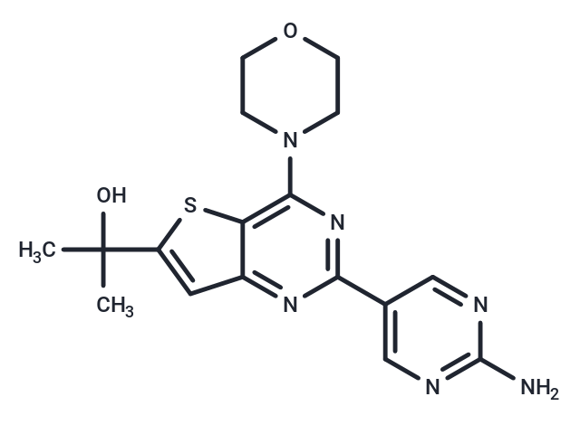 GNE-493