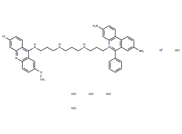 Acridine ethidium heterodimer