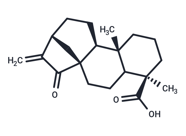 Kaur-16-en-18-oic acid, 15-oxo- (7CI,8CI)