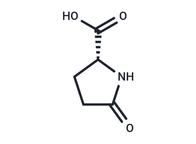 (R)-5-Oxopyrrolidine-2-carboxylic acid