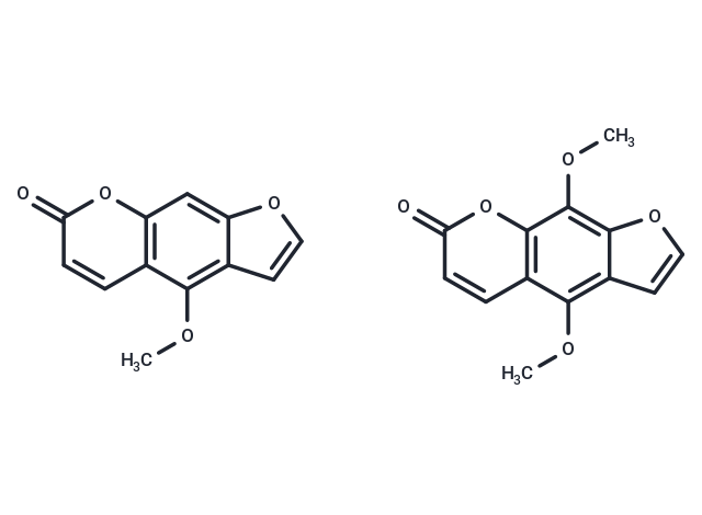 Ammifurin