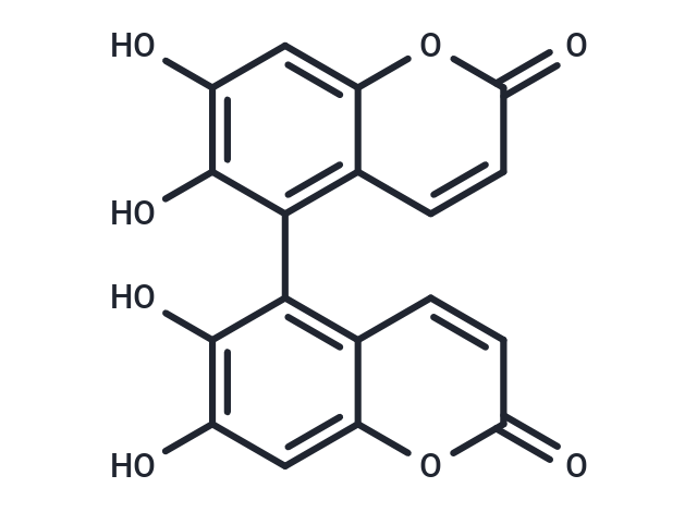 Euphorbetin