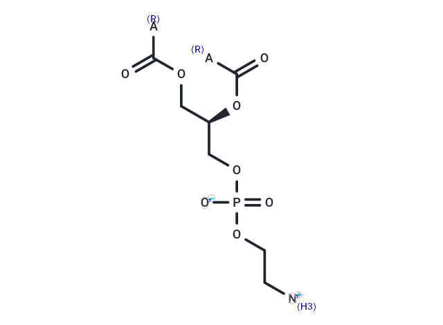 Phosphatidylethanolamines (soy)