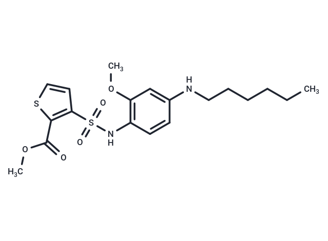 ST247