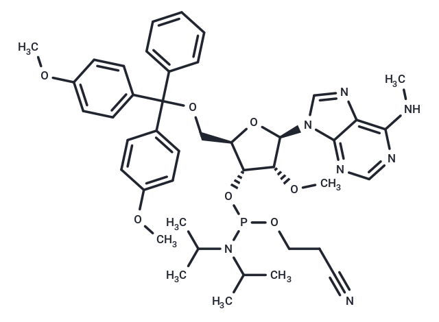 5'-O-DMTr-2'-O-methyl-N6-methyl adenosine 3'-CED phosphoramidite