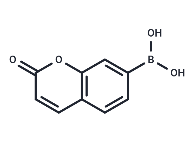 Coumarin Boronic Acid