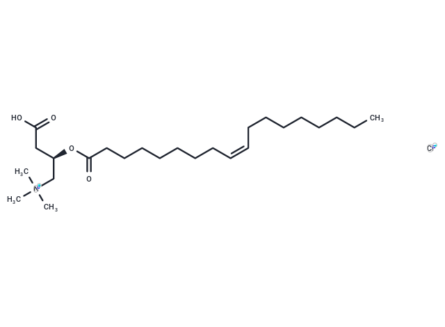 Oleoyl-L-carnitine chloride