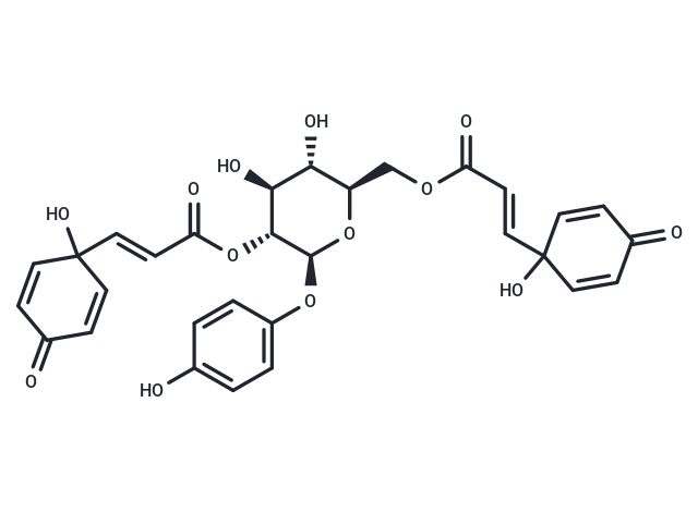 Robustaside G