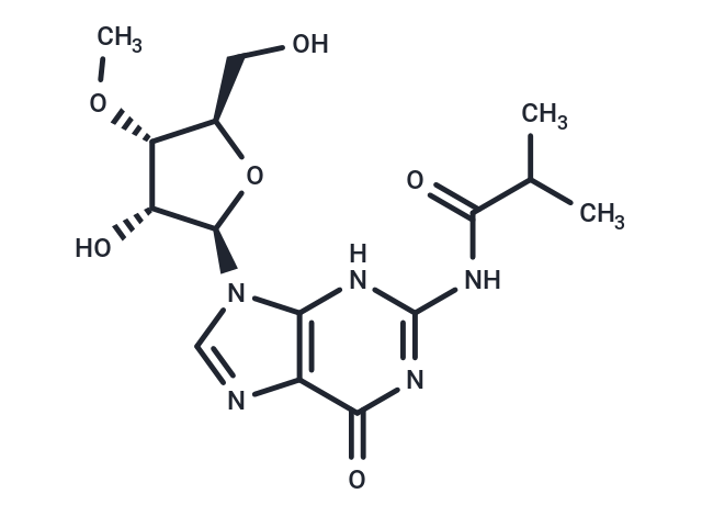 N2-iso-Butyroyl-3’-O-methylguanosine