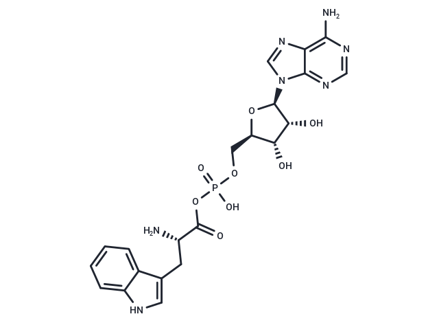 Tryptophyl adenylate