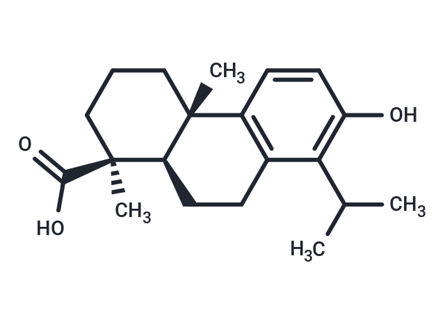 4beta-Carboxy-19-nortotarol