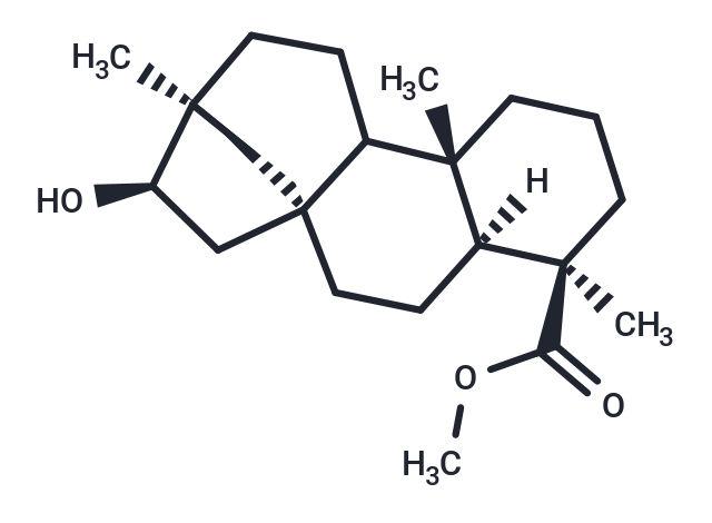 Compound N062-0011