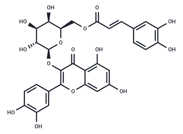 Quercetin-3-O-(6''-O-Ecaffeoyl)-β-D-galactopyranoside