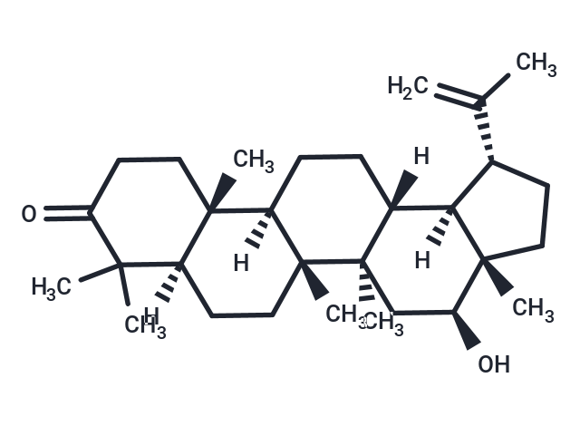 16-Hydroxylup-20(29)-en-3-one