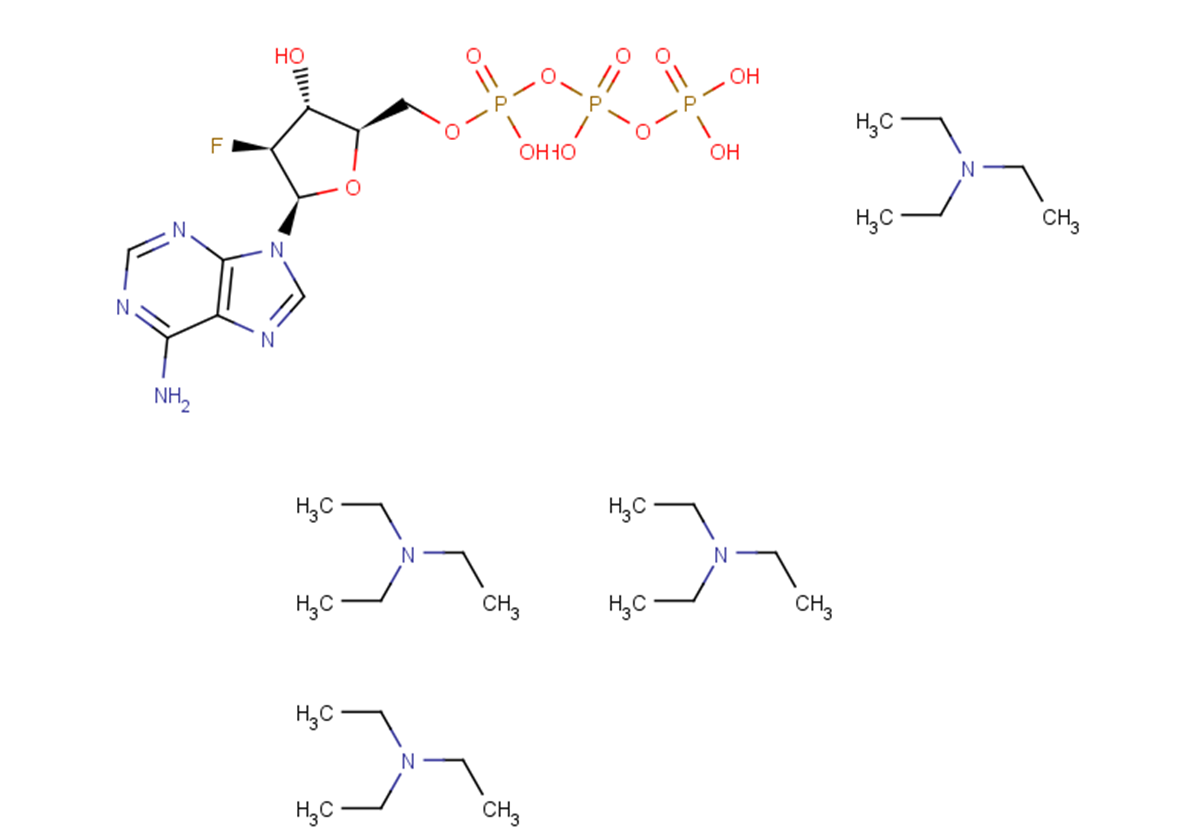 2’-Fluoro-2’-deoxy-arabinoadenosine  5’-triphosphate triethyl ammonium salt