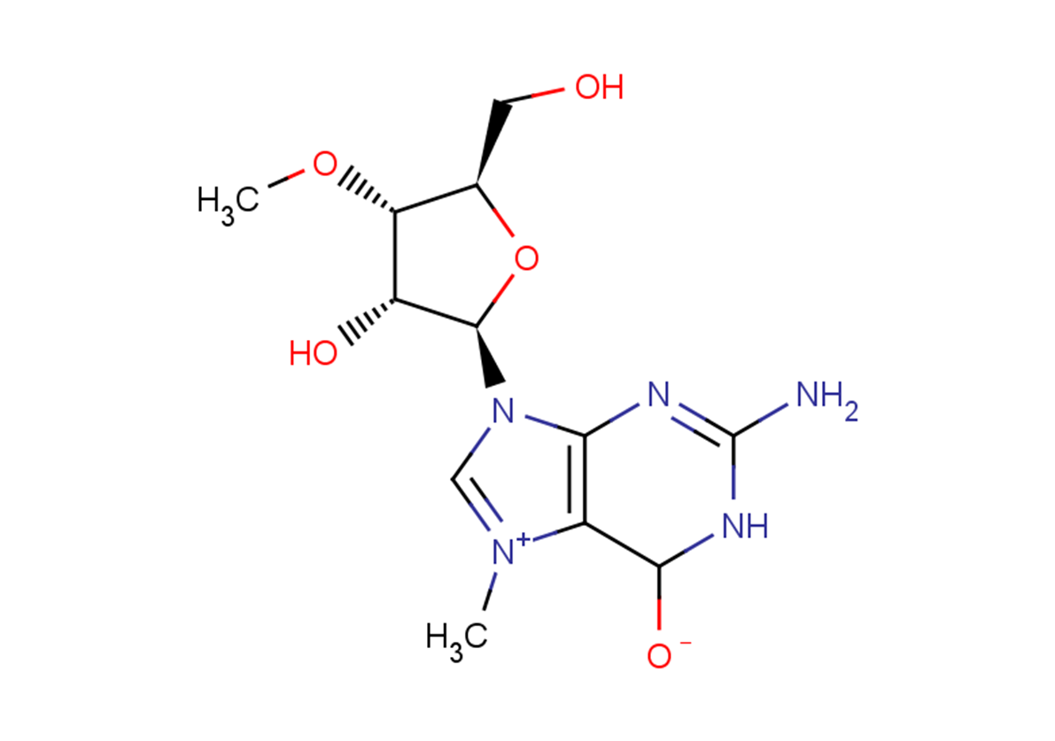 N7-Methyl-3’-O-methyl guanosine