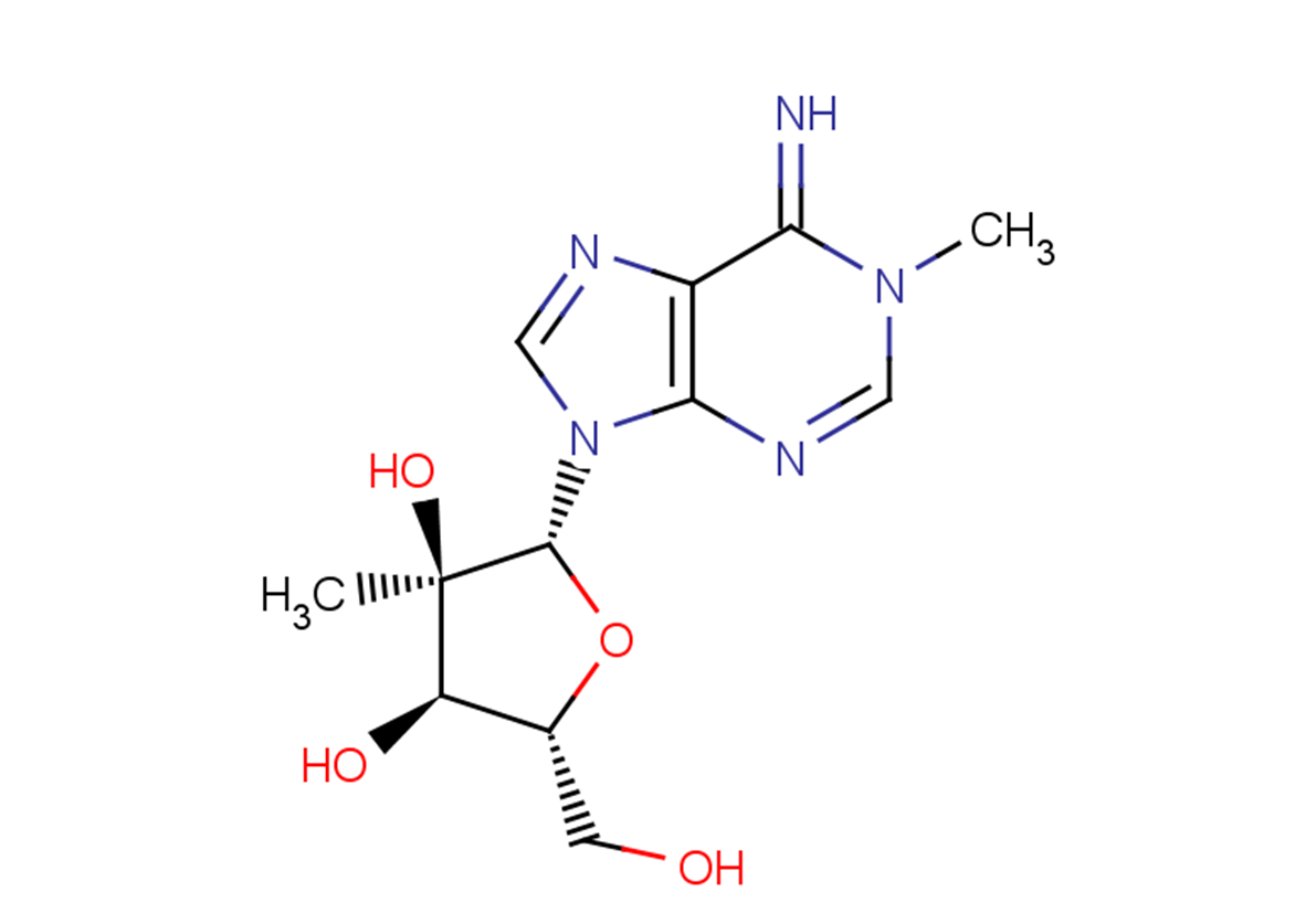N1-Methyl-2’-beta-C-methyl   adenosine