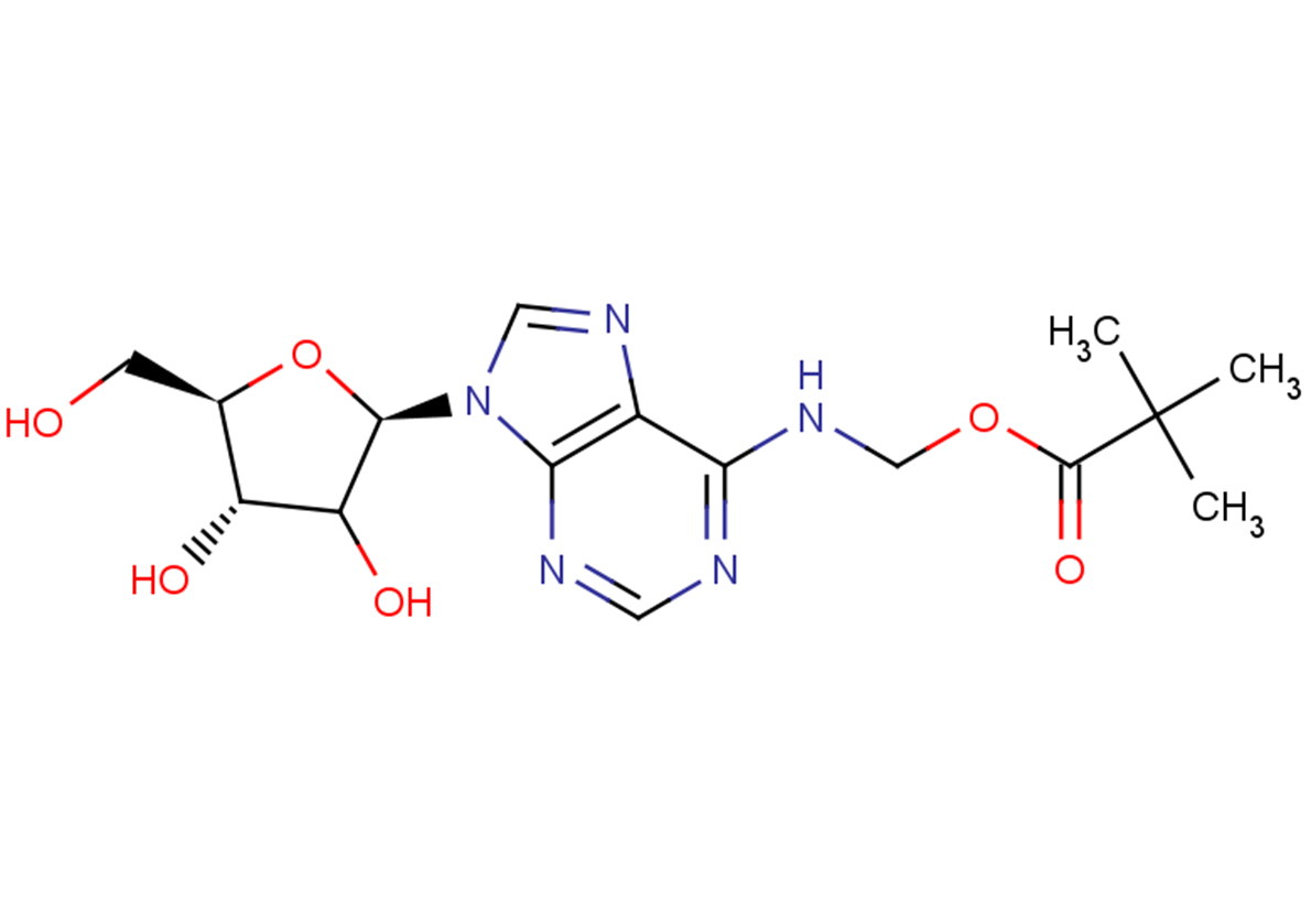 N6-Pivaloyloxymethyladenosine