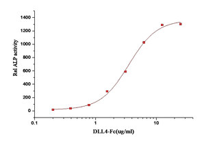 DLL4 Protein, Human, Recombinant (hFc)