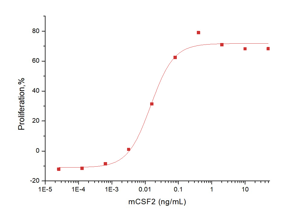 GM-CSF/CSF2 Protein, Mouse, Recombinant