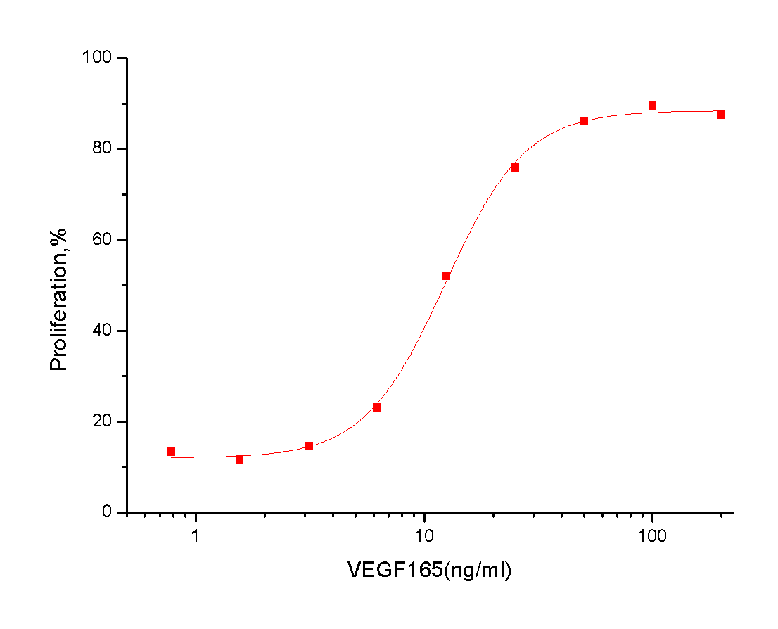VEGF165 Protein, Human, Recombinant (His & Avi), Biotinylated