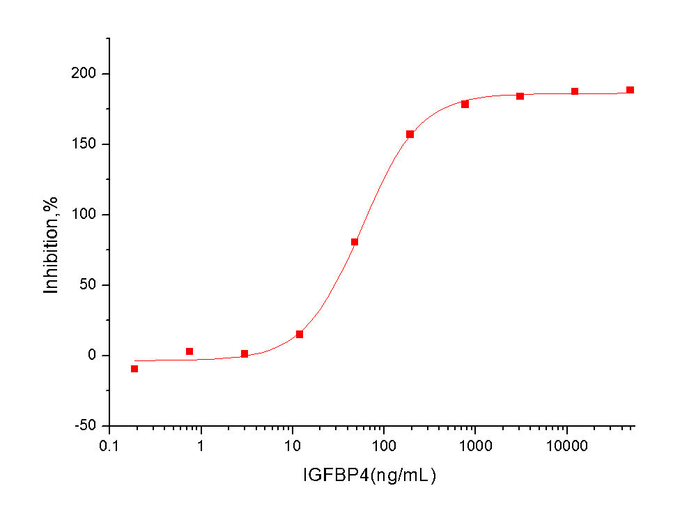 IGFBP-4 Protein, Human, Recombinant (His)