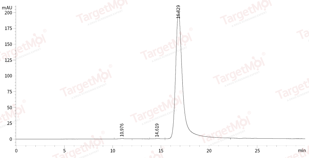 HGF Protein, Human, Recombinant