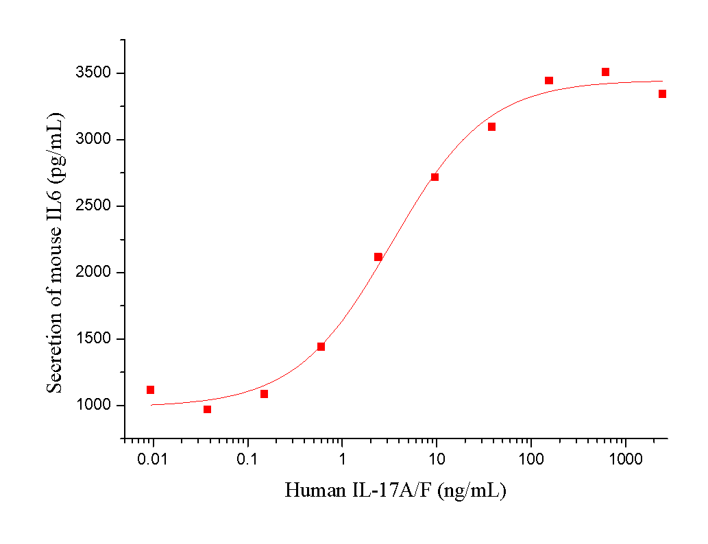 IL-17A & IL-17F Heterodimer Protein, Human, Recombinant