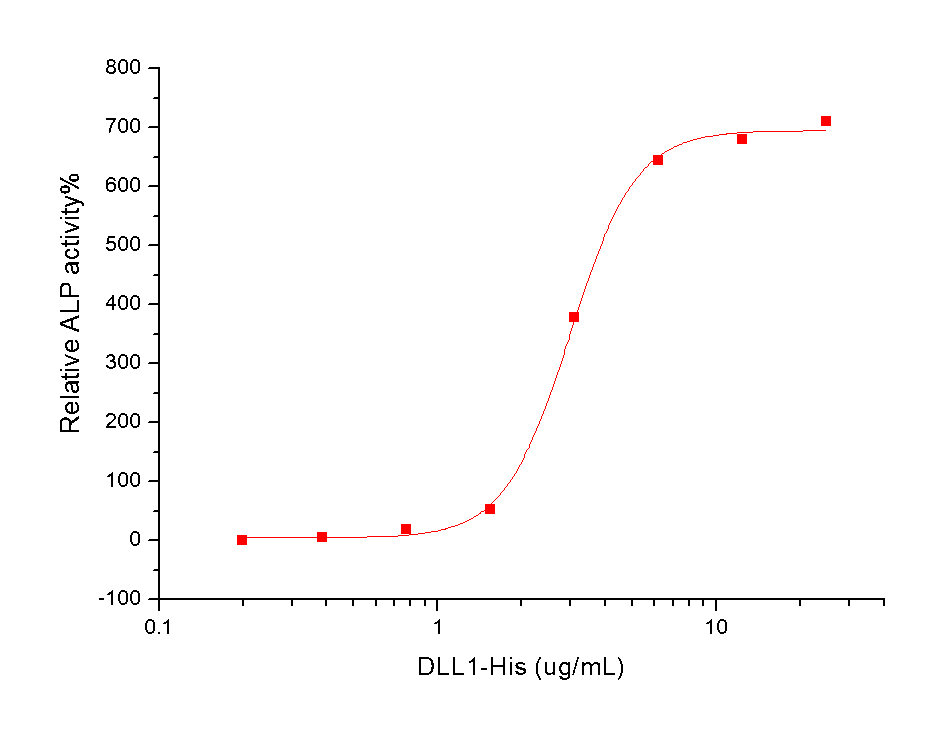 DLL1 Protein, Human, Recombinant (His)