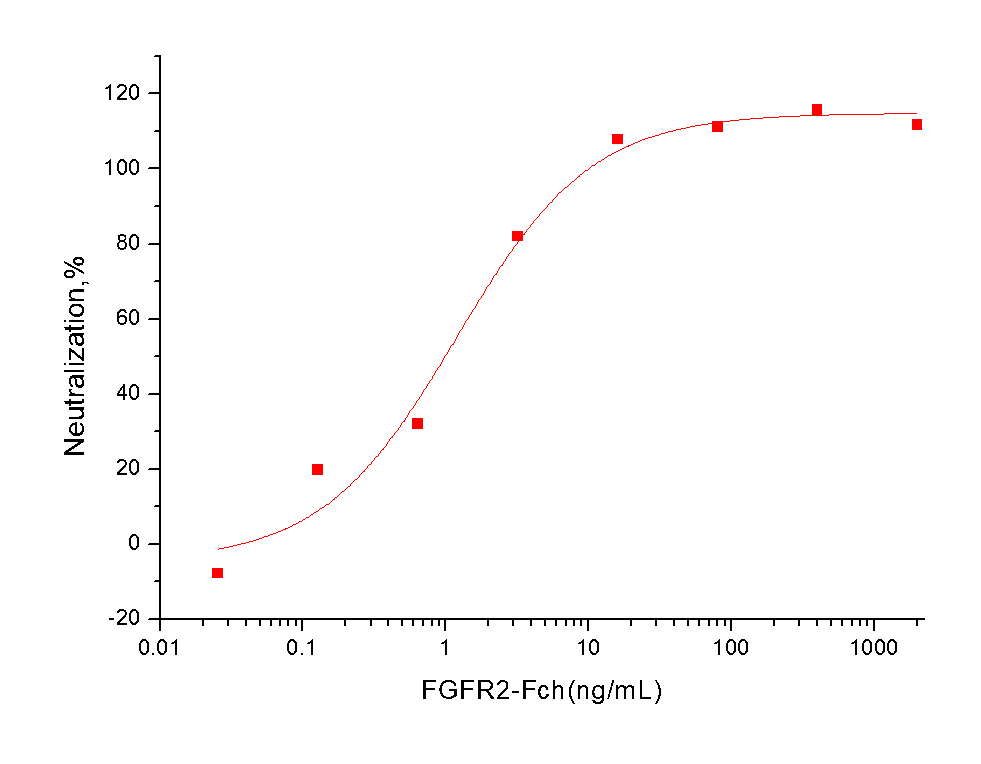FGFR2 Protein, Human, Recombinant (His & hFc)