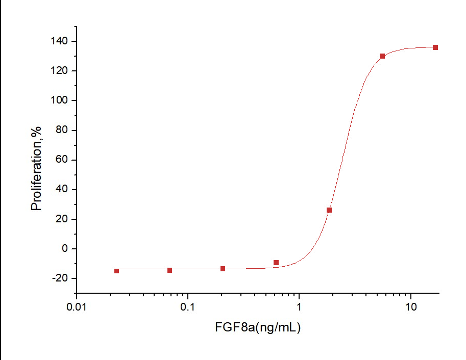 FGF-8a Protein, Human, Recombinant