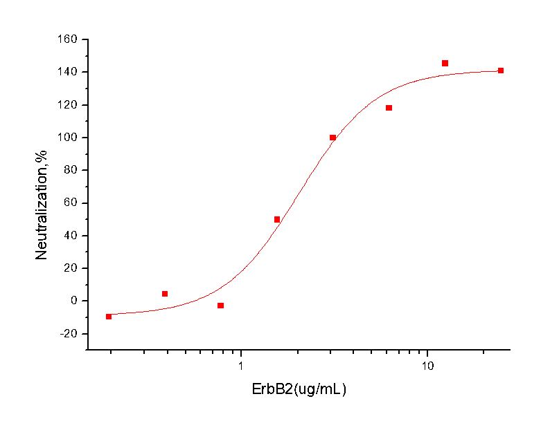 HER2/ERBB2 Protein, Human, Recombinant