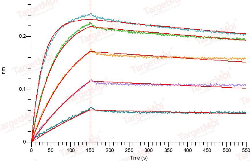 FOLR1 Protein, Human, Recombinant (hFc)