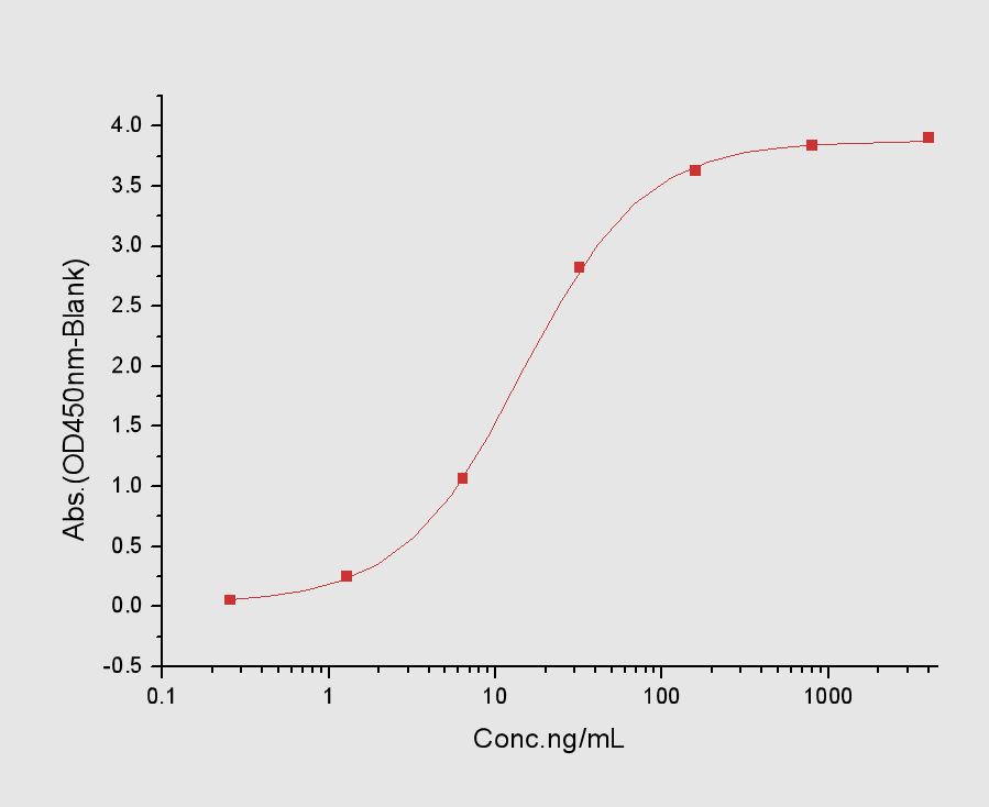 MMP-2 Protein, Human, Recombinant