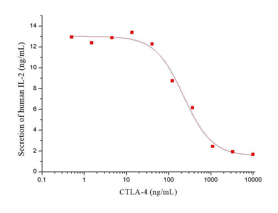CTLA-4 Protein, Mouse, Recombinant (His)