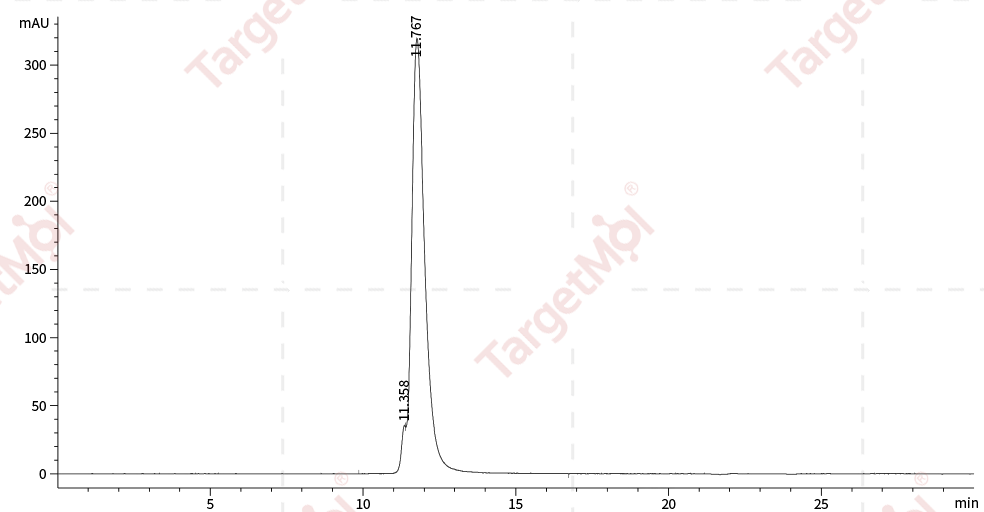 VEGFR2/KDR Protein, Human, Recombinant (His)