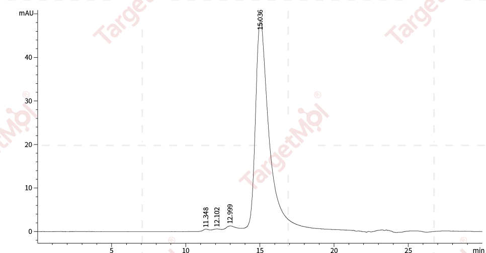 SCF Protein, Mouse, Recombinant (His)