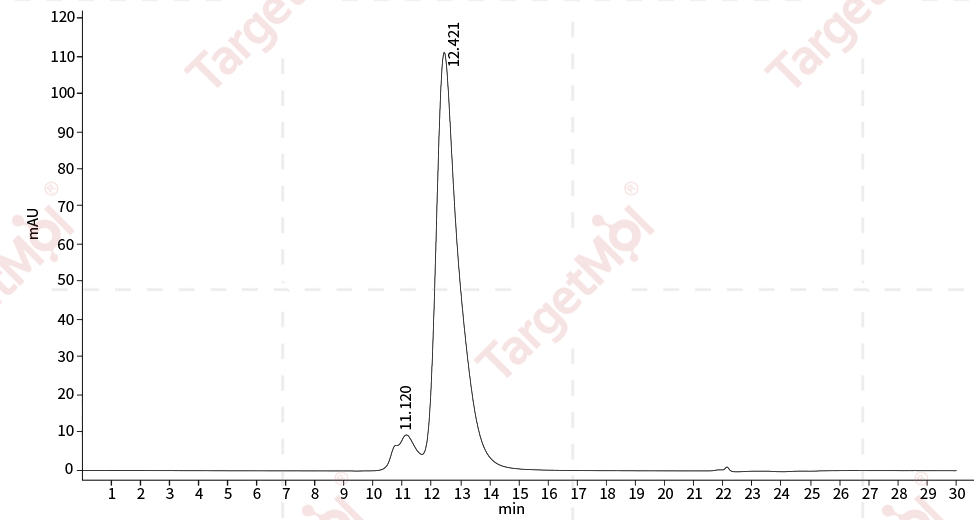DLL4 Protein, Human, Recombinant (hFc)