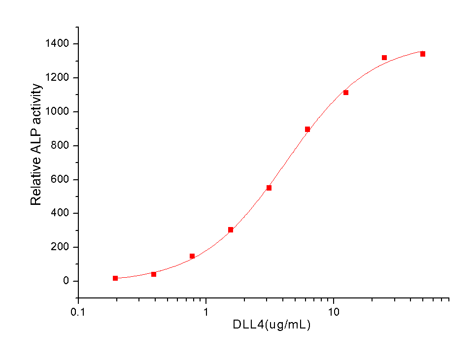 DLL4 Protein, Human, Recombinant