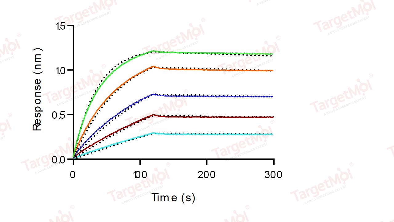 TROP-2 Protein, Cynomolgus, Rhesus, Recombinant (His)