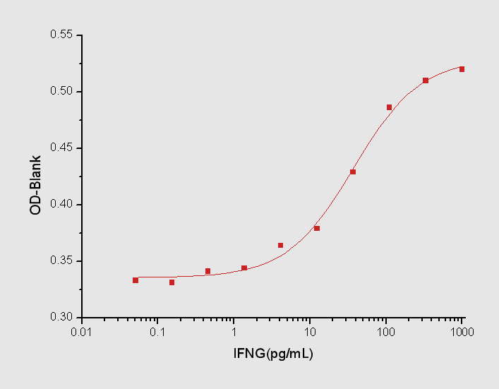 IFN gamma Protein, Human, Recombinant