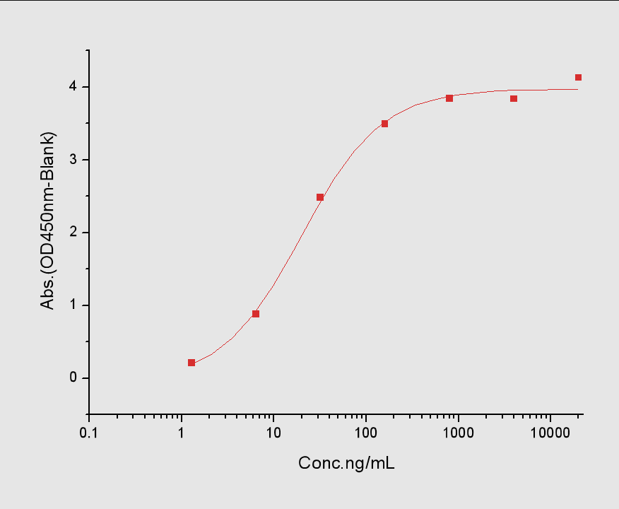 IFN gamma Protein, Mouse, Recombinant